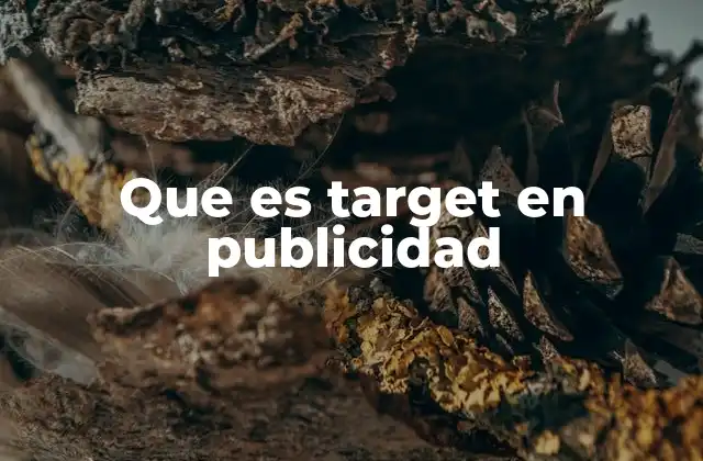 Que es Target en Publicidad