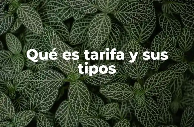 Qué es Tarifa y Sus Tipos
