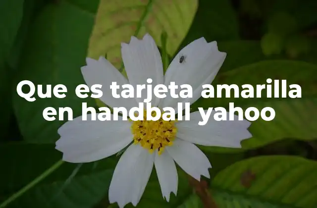 Que es Tarjeta Amarilla en Handball Yahoo 2 El papel del árbitro en el uso de la tarjeta amarilla