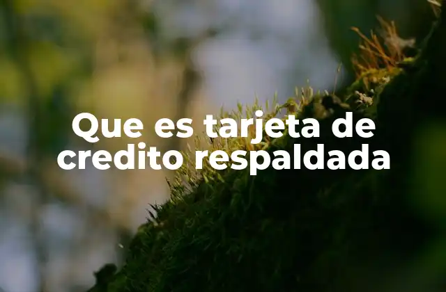 Que es Tarjeta de Credito Respaldada