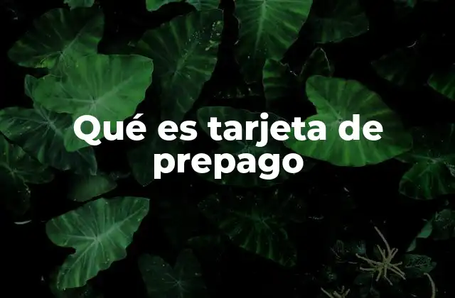 Qué es Tarjeta de Prepago 2 Cómo funciona una tarjeta de prepago sin mencionar la palabra clave