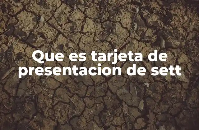 Que es Tarjeta de Presentacion de Sett