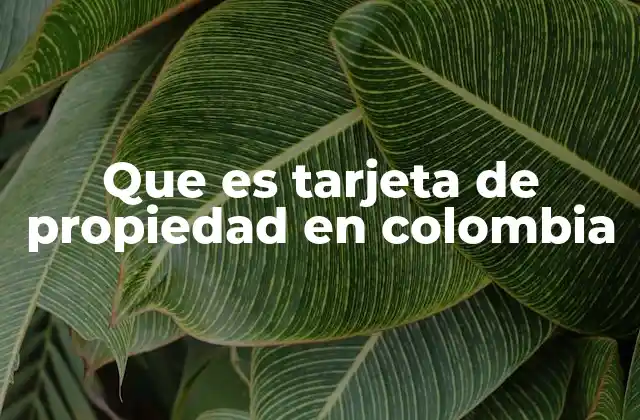 Que es Tarjeta de Propiedad en Colombia