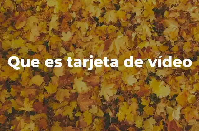 Que es Tarjeta de Vídeo
