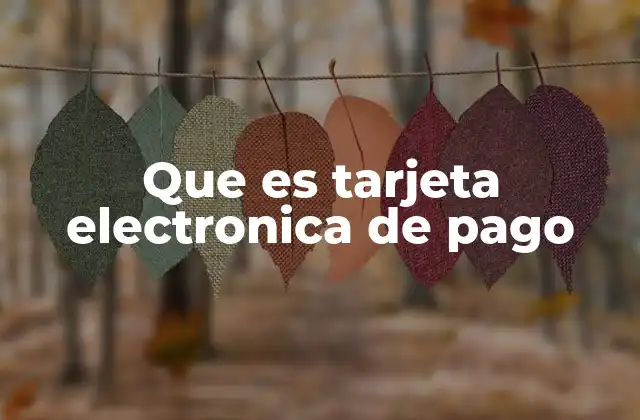 Que es Tarjeta Electronica de Pago