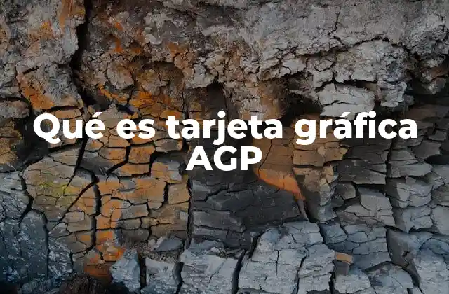 Qué es Tarjeta Gráfica Agp