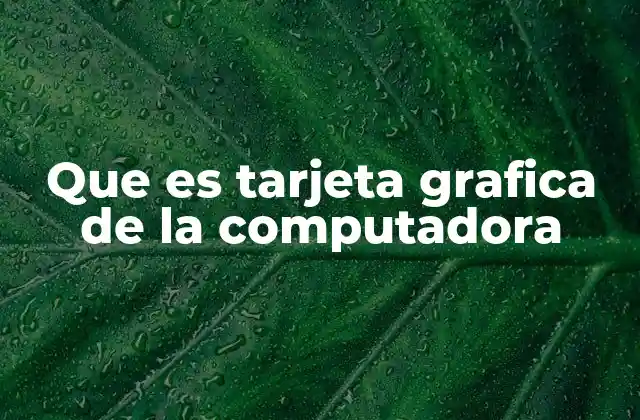 La importancia de la tarjeta gráfica en el rendimiento de la computadora