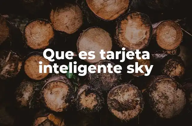 Que es Tarjeta Inteligente Sky