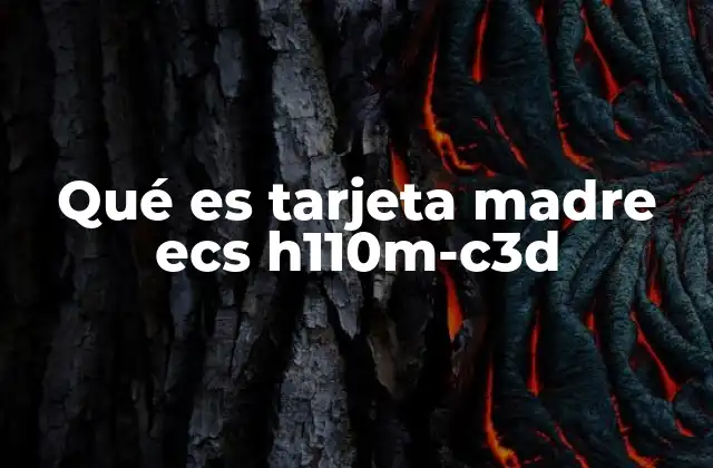Qué es Tarjeta Madre Ecs H110m-c3d