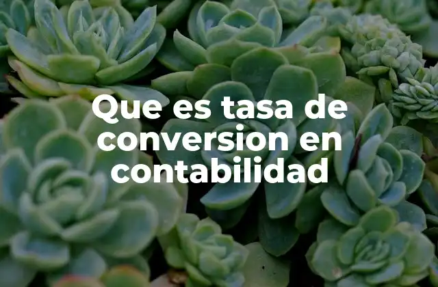 Que es Tasa de Conversion en Contabilidad