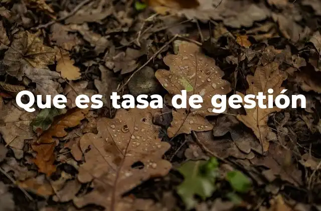 Que es Tasa de Gestión