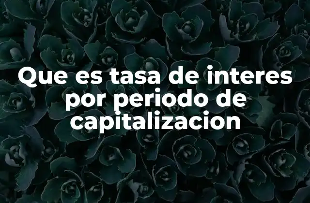 Que es Tasa de Interes por Periodo de Capitalizacion