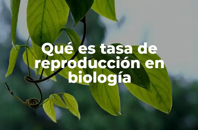Cómo la tasa de reproducción afecta a la evolución de las especies
