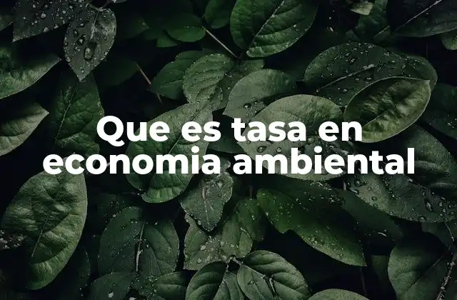 Que es Tasa en Economia Ambiental