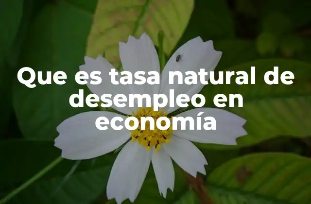 Que es Tasa Natural de Desempleo en Economía