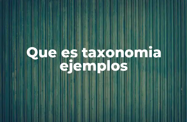 Cómo la taxonomía mejora la organización del conocimiento