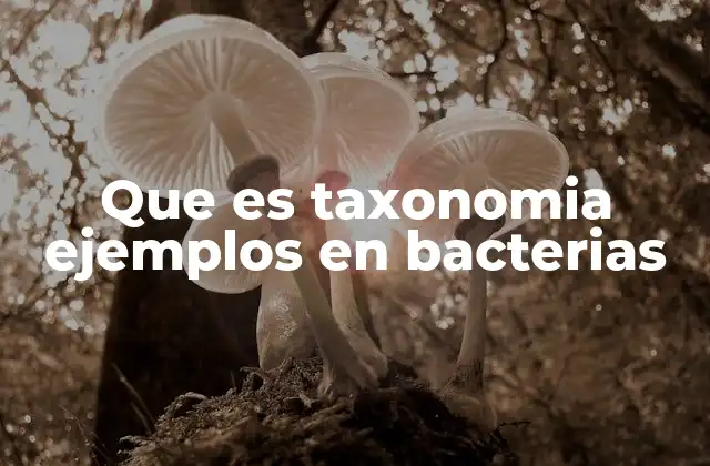 Que es Taxonomia Ejemplos en Bacterias