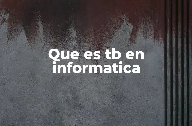 Que es Tb en Informatica