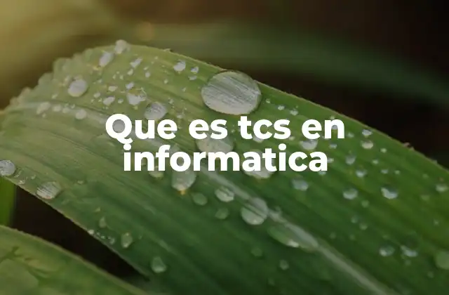 Que es Tcs en Informatica