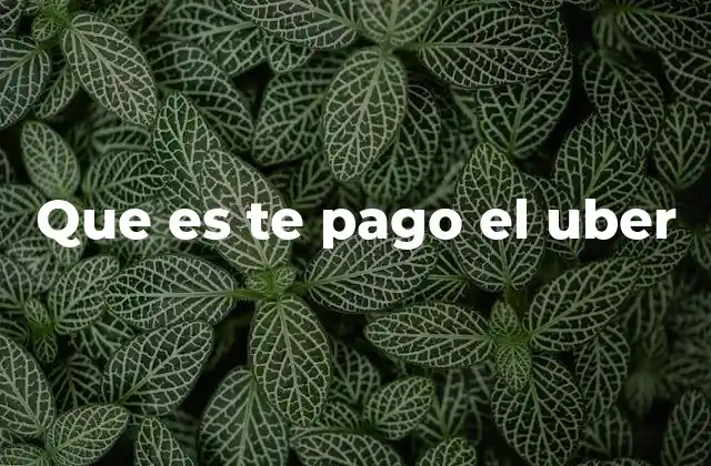 Que es Te Pago el Uber