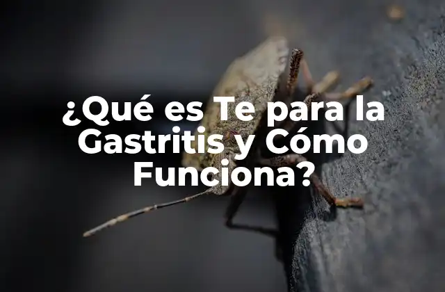 ¿qué es Te para la Gastritis y Cómo Funciona?