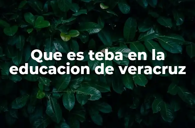 Que es Teba en la Educacion de Veracruz 2 El rol de Teba en la formación docente en Veracruz