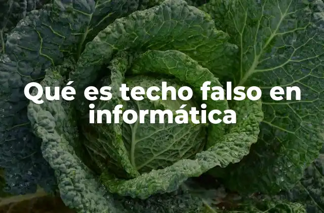 La importancia del techo falso en el diseño de sistemas digitales