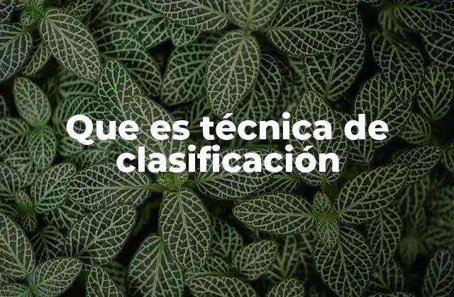 Que es Técnica de Clasificación
