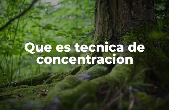Que es Tecnica de Concentracion