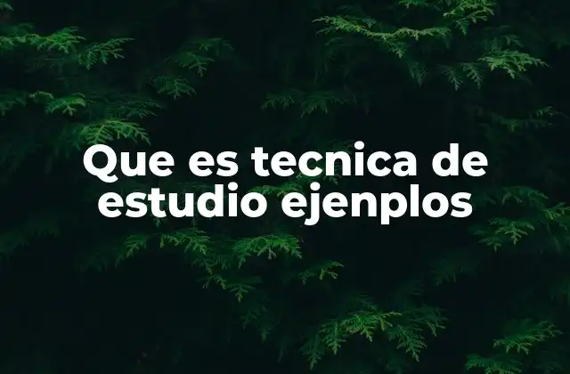 Que es Tecnica de Estudio Ejenplos