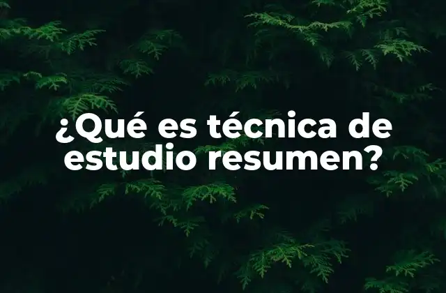 ¿qué es Técnica de Estudio Resumen?