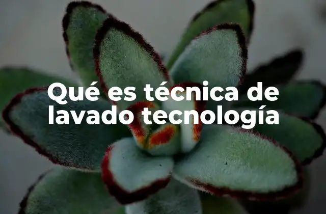 Qué es Técnica de Lavado Tecnología 2 Aplicaciones de las técnicas de lavado en diversos sectores