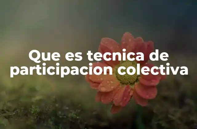 Que es Tecnica de Participacion Colectiva