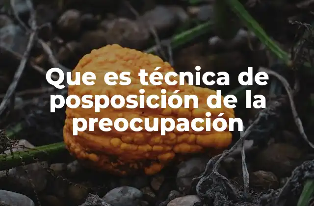 Que es Técnica de Posposición de la Preocupación