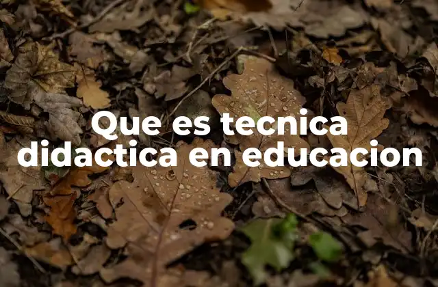 Que es Tecnica Didactica en Educacion
