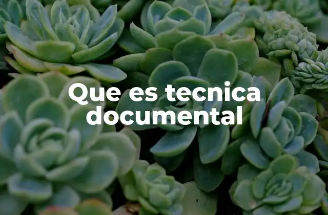 Que es Tecnica Documental