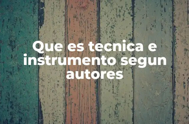Que es Tecnica e Instrumento Segun Autores