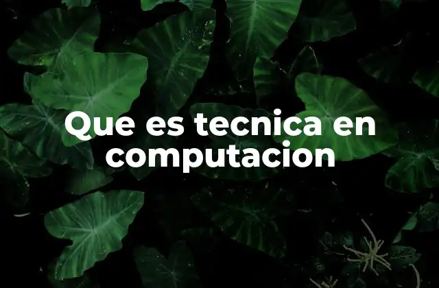 Que es Tecnica en Computacion