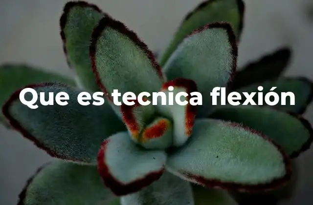 El rol de la flexión en la biomecánica del cuerpo