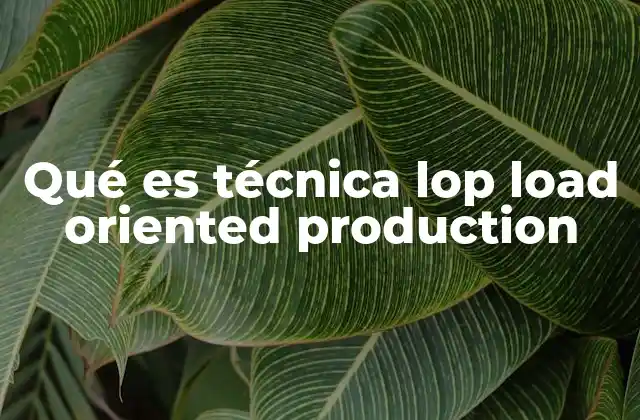Qué es Técnica Lop Load Oriented Production