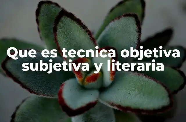 Que es Tecnica Objetiva Subjetiva y Literaria