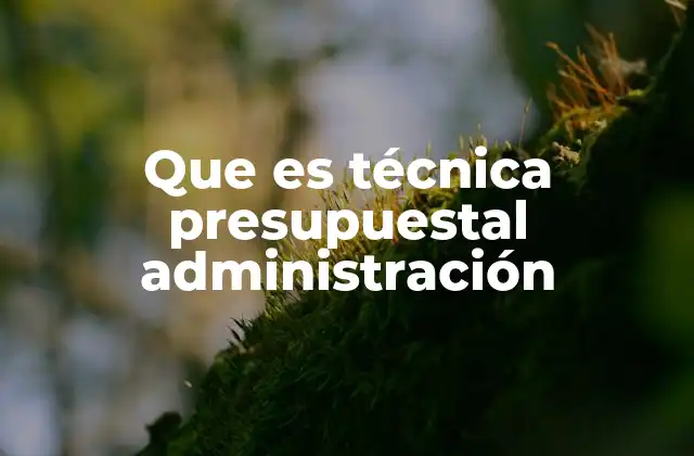 Que es Técnica Presupuestal Administración