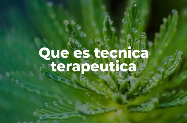 Que es Tecnica Terapeutica