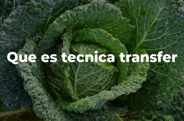 Que es Tecnica Transfer