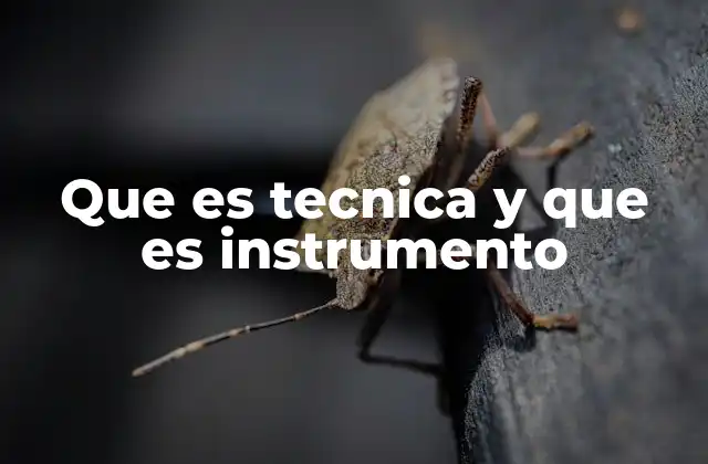 Que es Tecnica y que es Instrumento