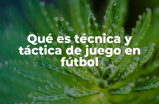 Qué es Técnica y Táctica de Juego en Fútbol
