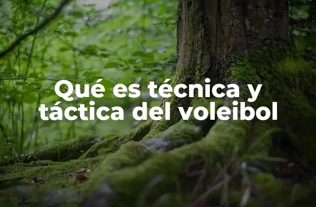Qué es Técnica y Táctica Del Voleibol