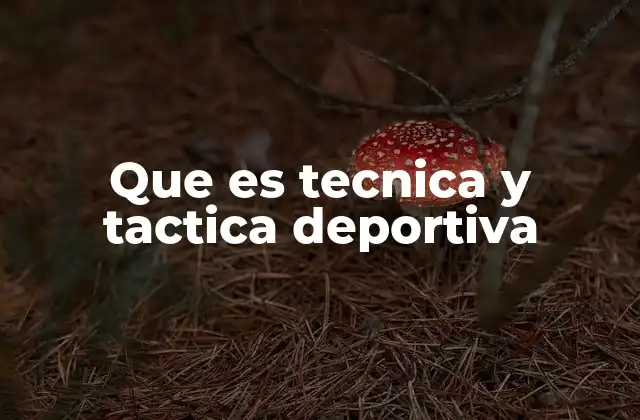 Que es Tecnica y Tactica Deportiva