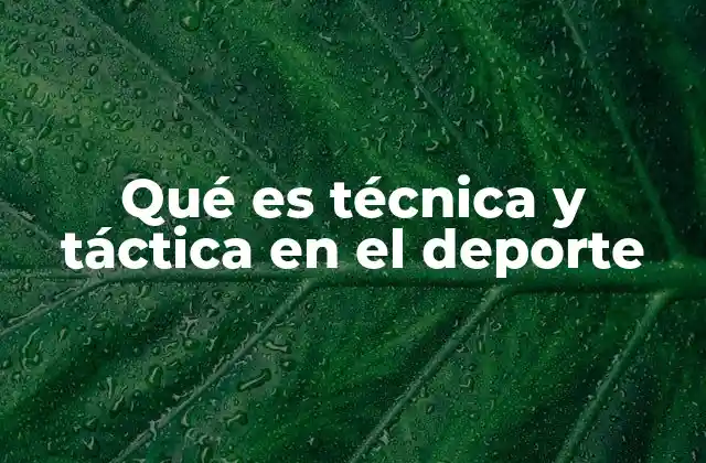 Qué es Técnica y Táctica en el Deporte