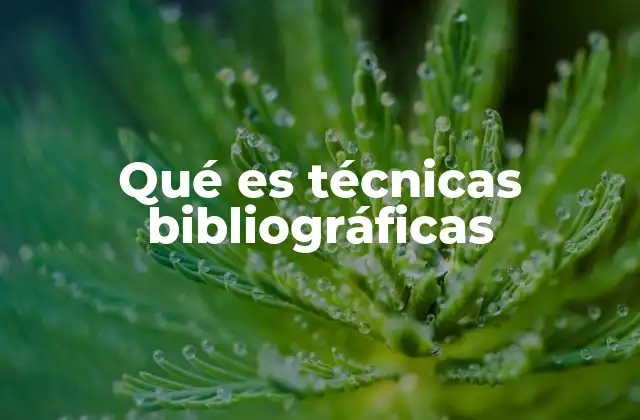Qué es Técnicas Bibliográficas